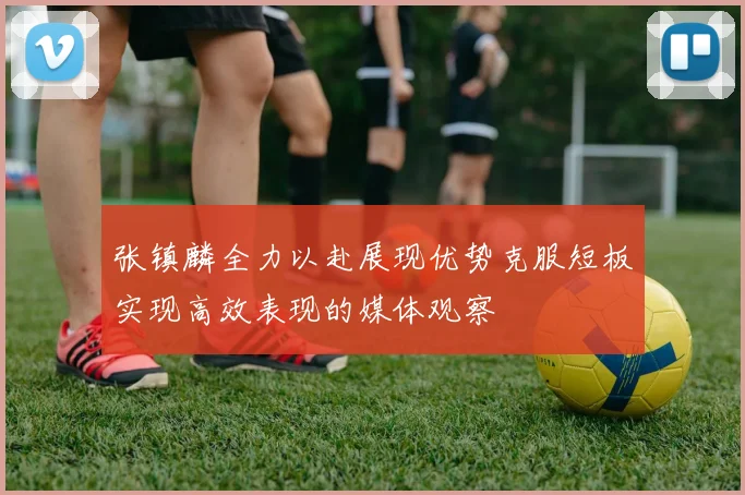 张镇麟全力以赴展现优势克服短板实现高效表现的媒体观察